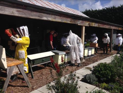 Franklin_Beekeepers_Club_Hives_01.jpg