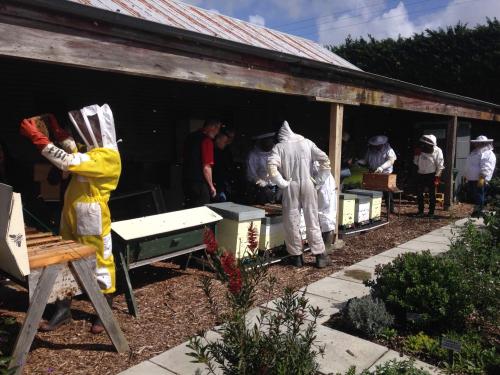 Franklin_Beekeepers_Club_Hives_02.jpg