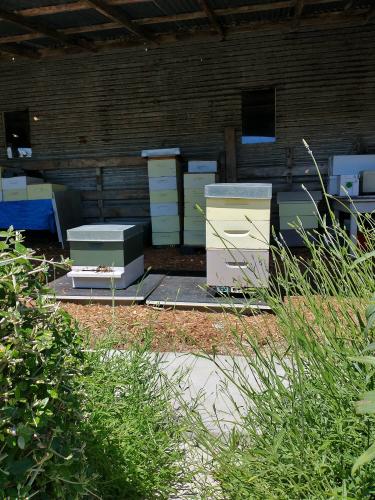 Franklin_Beekeepers_Club_Hives_05.jpg